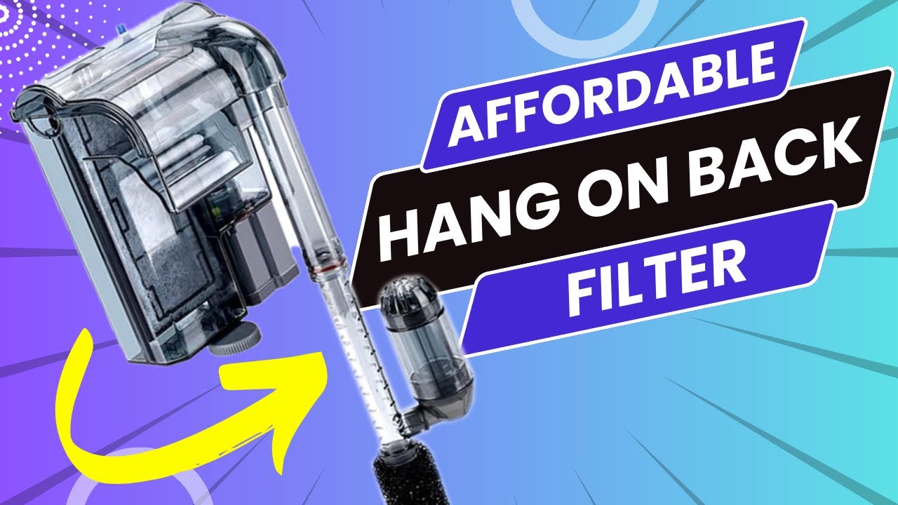 Best Budget Hang On Back Filter For A Nano Reef Tank Setup!?