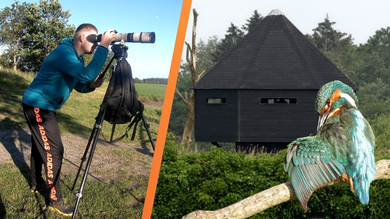 The Experience of BIRD Videography from a HIDE