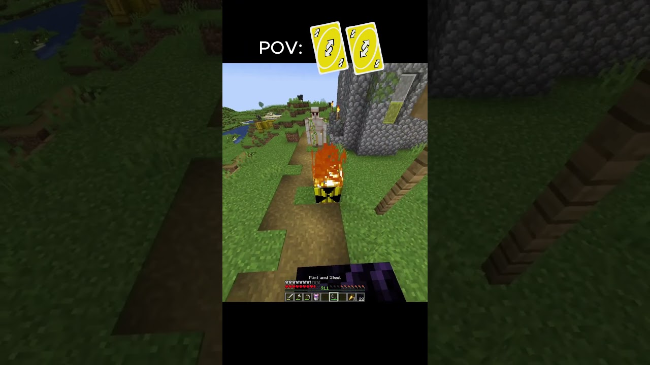 iron golem killed your dog.... #minecraft #usa 🇺🇸