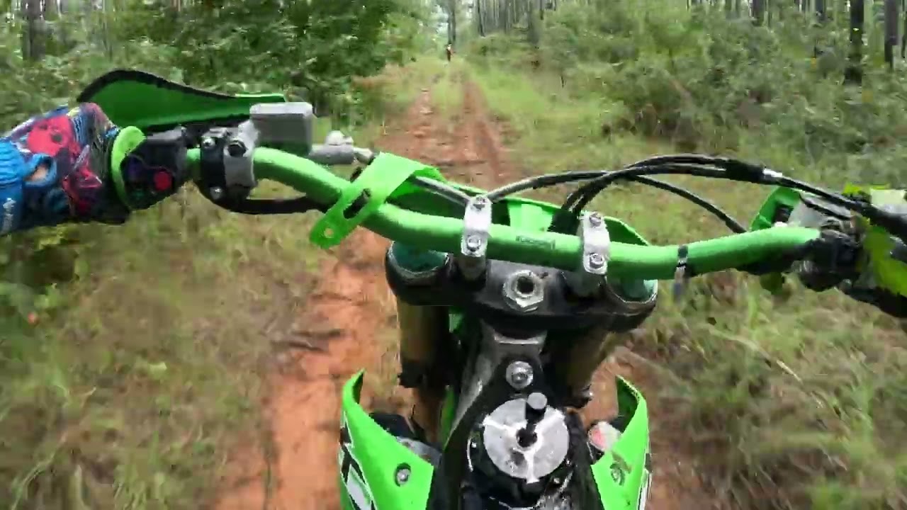 Claiborne Multiple-Use Trail, Kisatchie National Forest, Louisiana