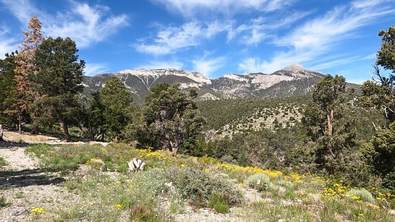 Hilltop Campground - Nevada
