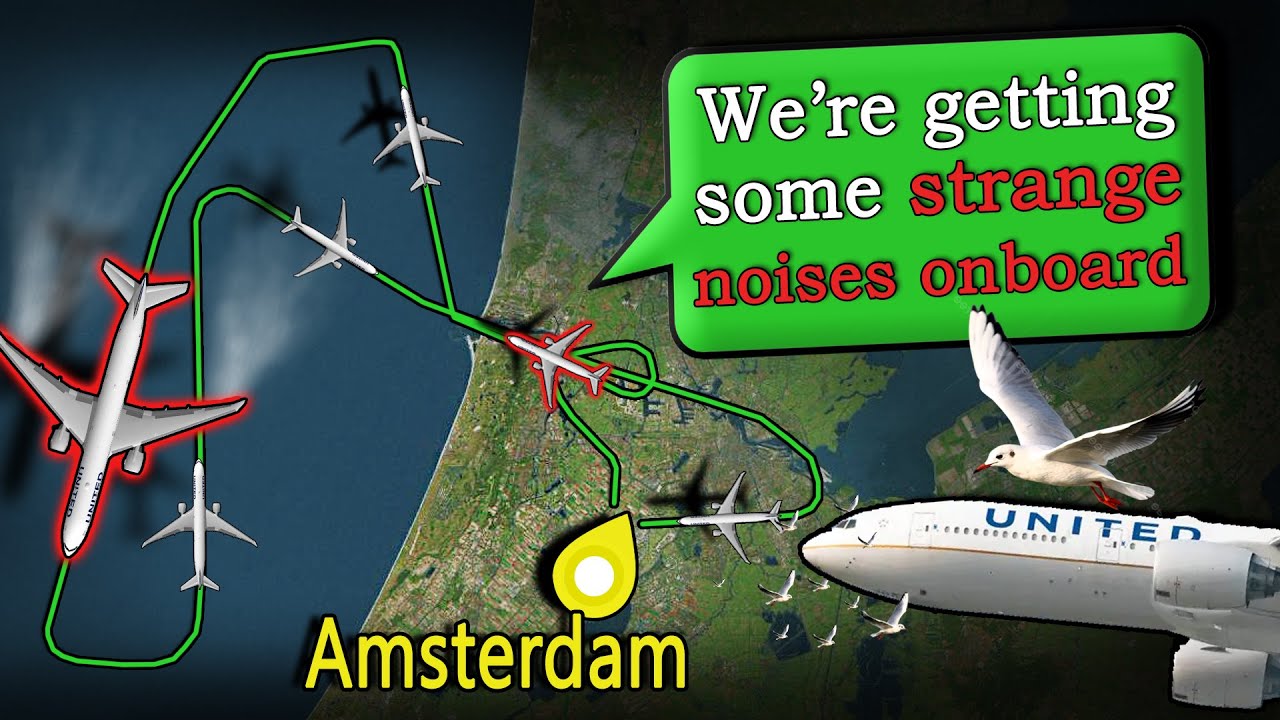 United HITS A SEAGULL ON TAKEOFF | Radome Damaged | Return to Amsterdam