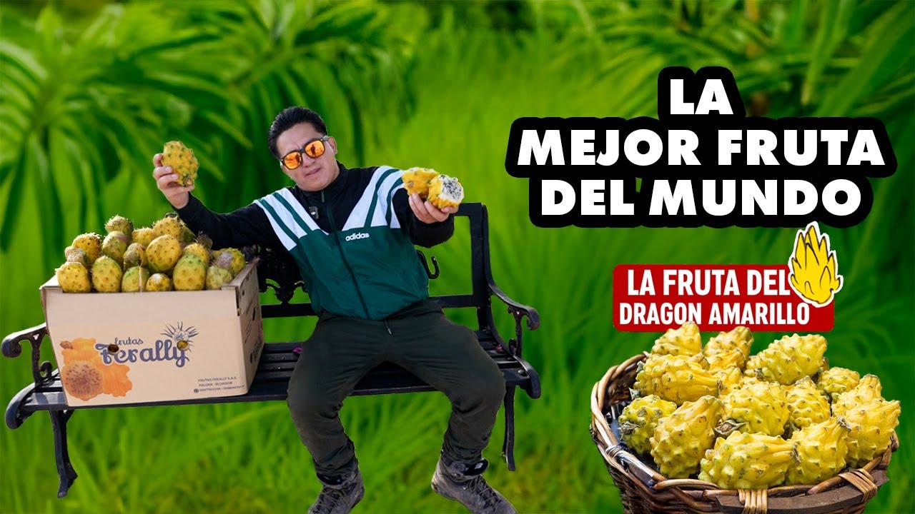 LA FRUTA DEL DRAGON QUE SOLO CRECE EN ECUADOR Y ASOMBRA AL MUNDO 🌍 I GEO LEMA