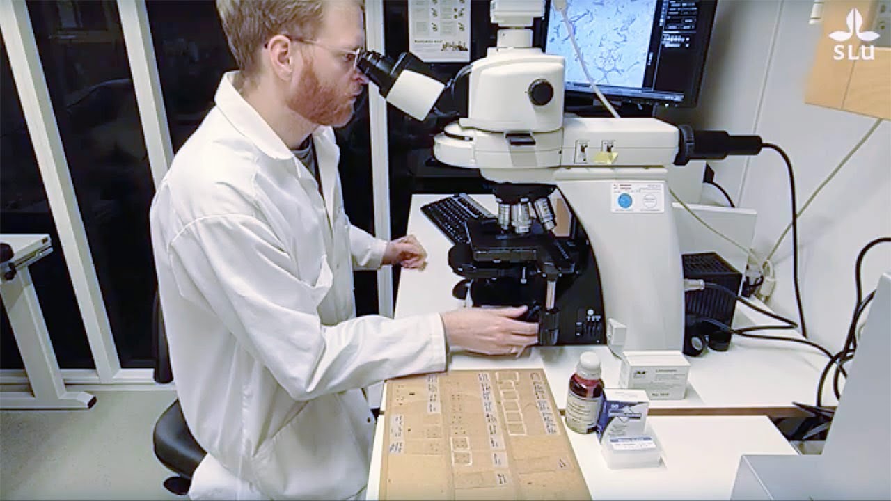 Mathias Johansson &ndash; PhD student in texture and microstructure of plant-based foods at SLU
