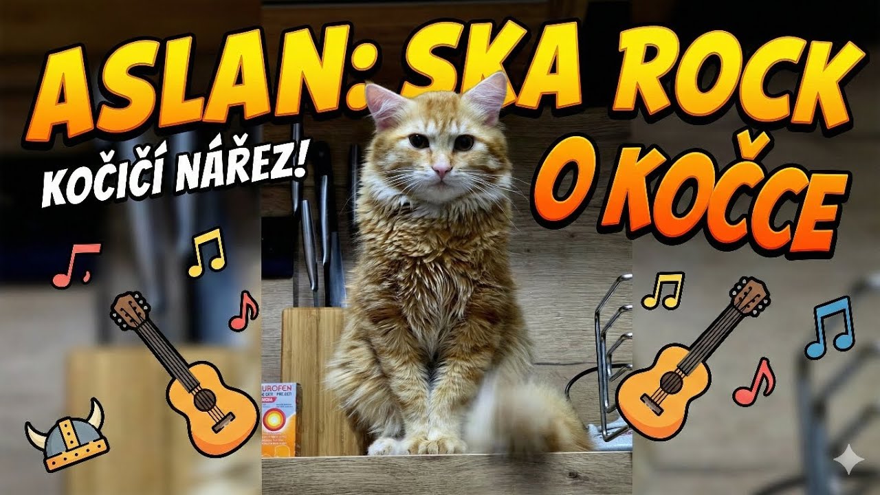 Kočičí nářez! ASLAN (Ska Rock Hit) 😺🎸
