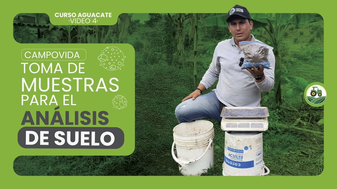 MUESTRAS DE SUELO para AGUACATE