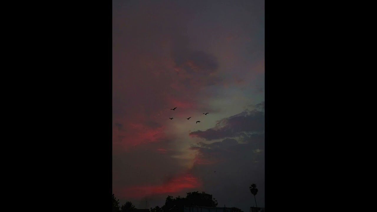 [FREE] 