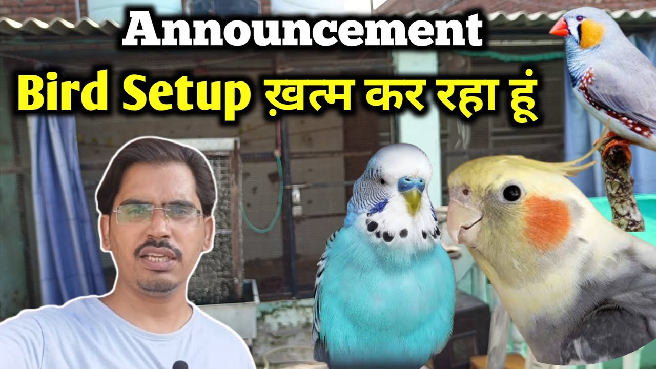 Announcement | Bird Setup ख़त्म Kar Raha Hun | Kyun?