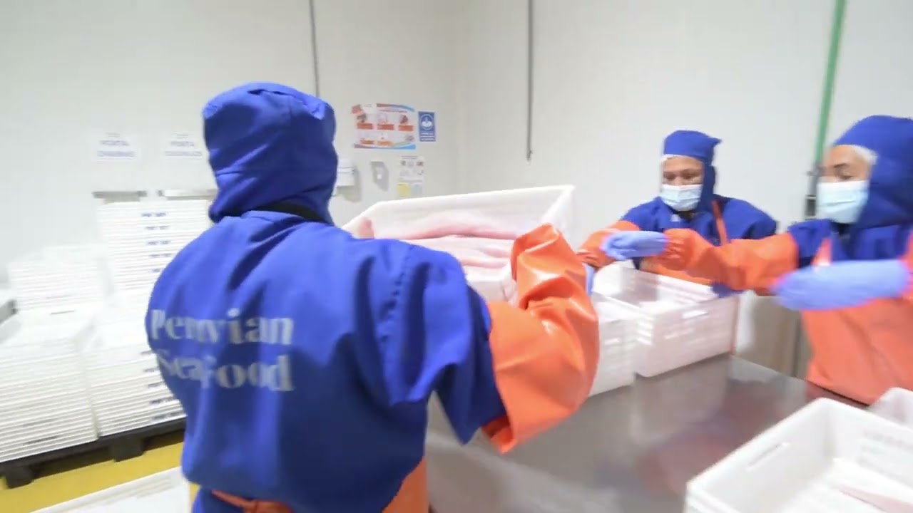 PERUVIAN SEA FOOD INSTITUCIONAL