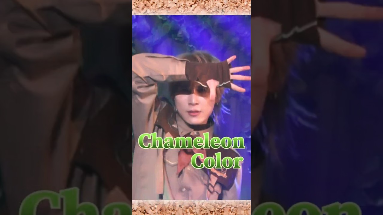 MeseMoa. Zepp Tour 2024「New Journey」【Chameleon Color】
