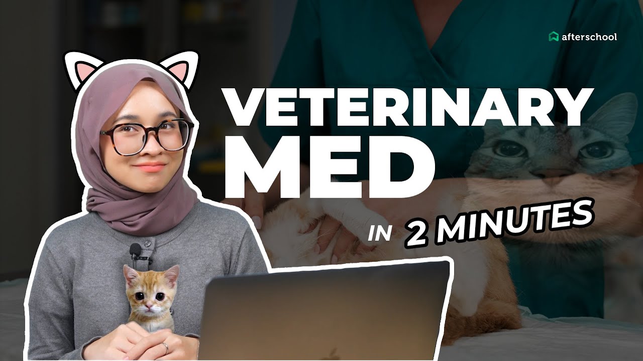 Любите животных? Вот как стать ветеринаром всего за 2 минуты! 🐾