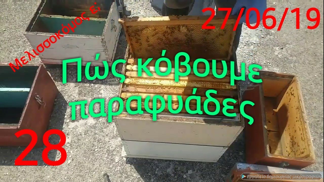 Πώς κόβουμε παραφυάδες. 