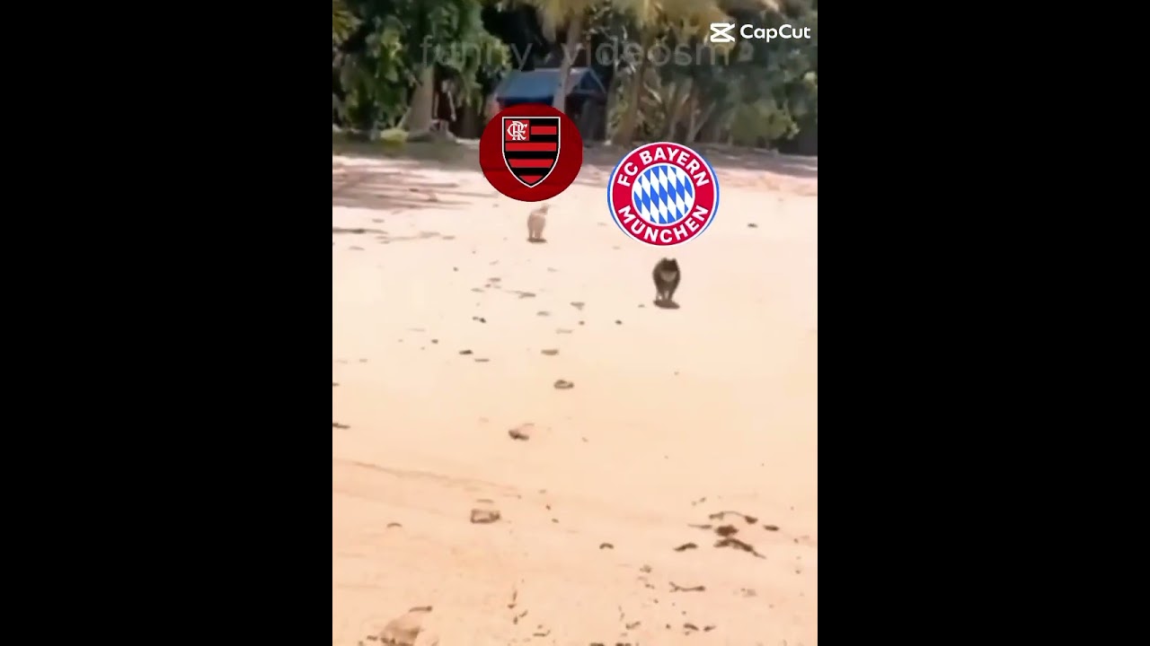Flamengo vai para cima do Bayern de Munique com tudo placar do jogo 2 a 1 gols de Wallace yan e bh