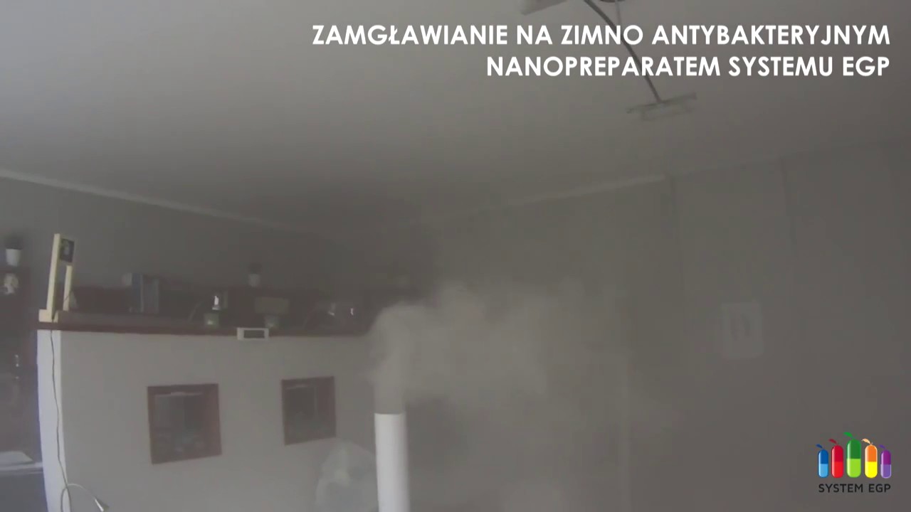 EGP System - AMIS Rzesz&oacute;w - Dezynfekcja i Zamgławianie