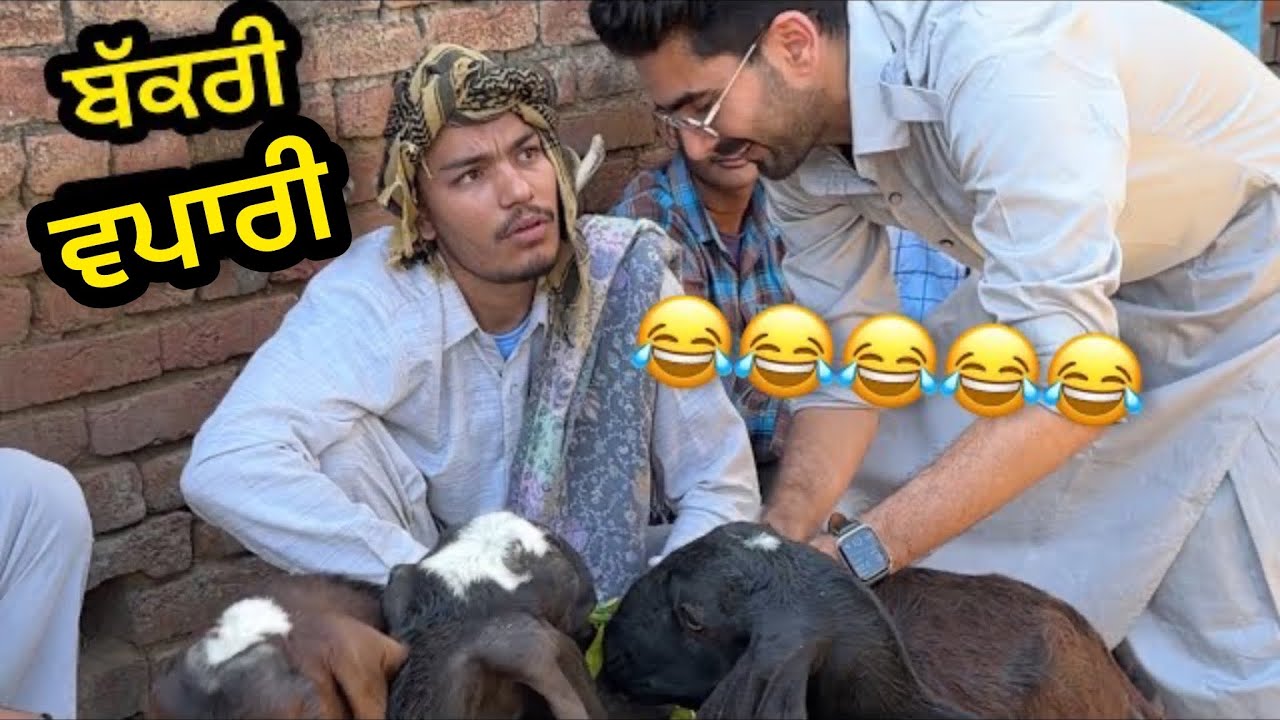 ਬੱਕਰੀ ਵਪਾਰੀ 😂😂 ਚੜਦਾ ਪੰਜਾਬ ਜੁਗਤਾਂ 😂😂😂 2024