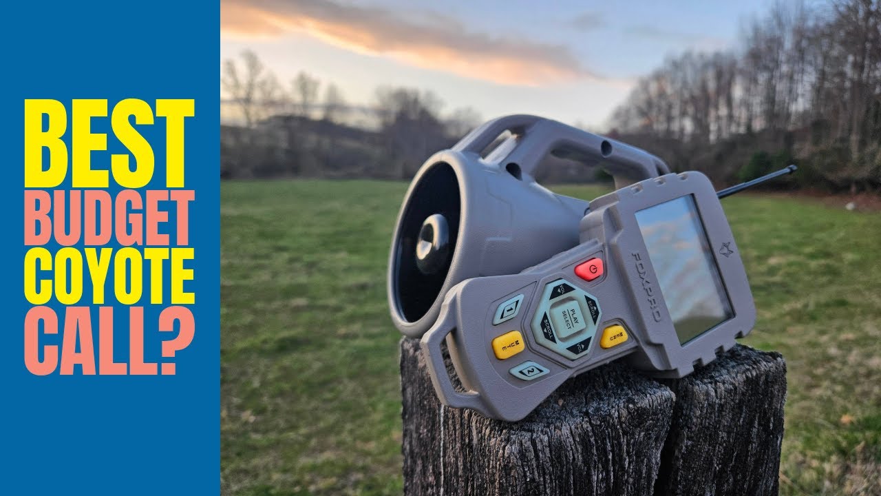 Review of the FoxPro Prowler