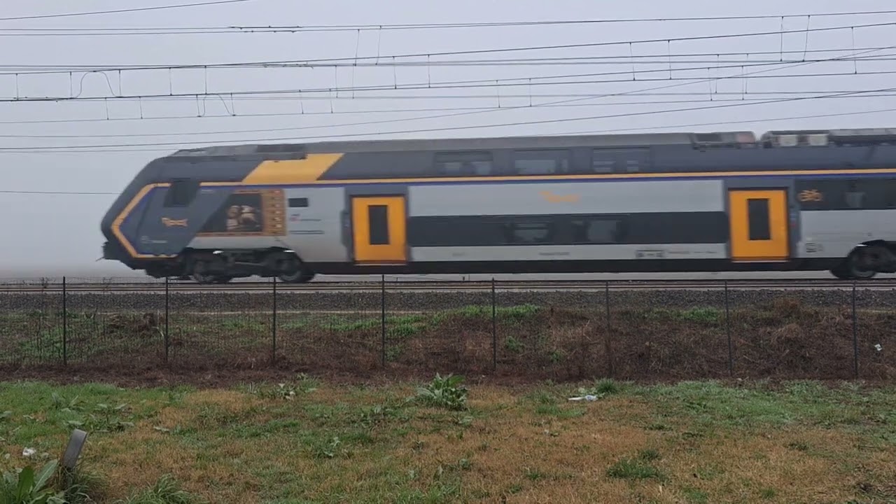ENJOY VIDEO VIRALVIDEO MIX TRAIN ITALIA 🇮🇹
