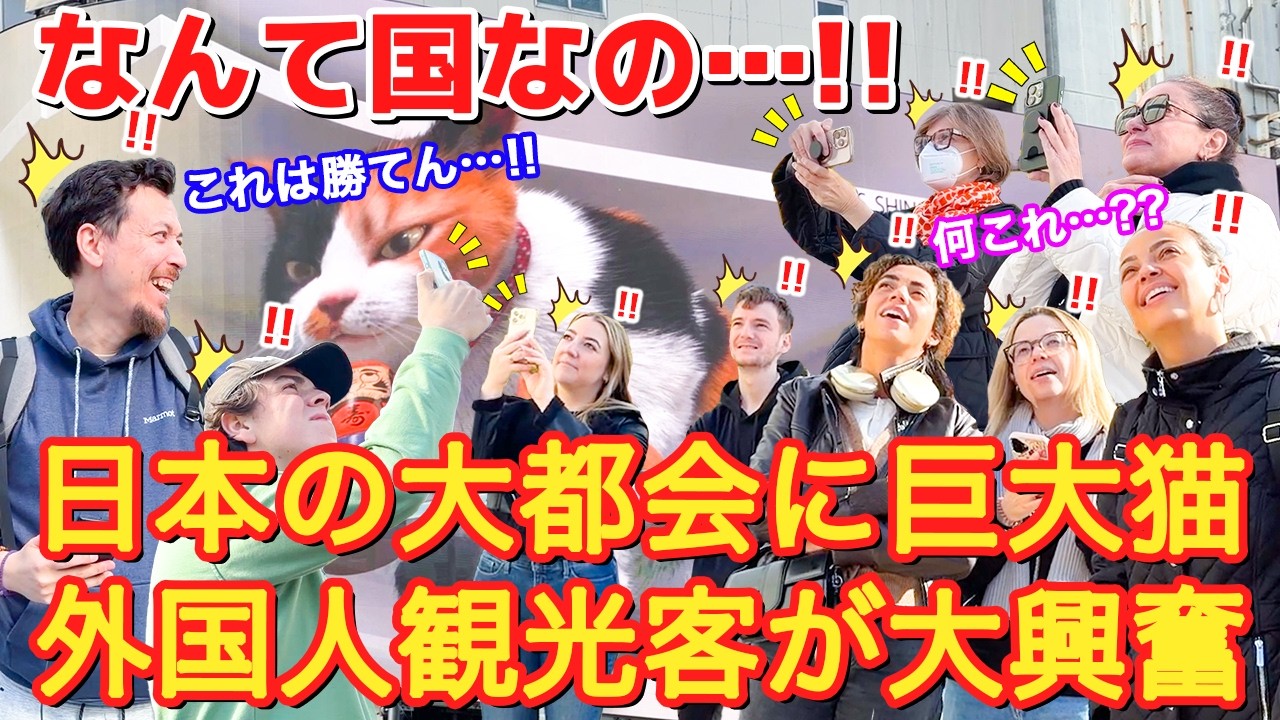 [なんて国なの…！！]日本の大都会に３Dの巨大ネコ？？外国人観光客が大興奮！！