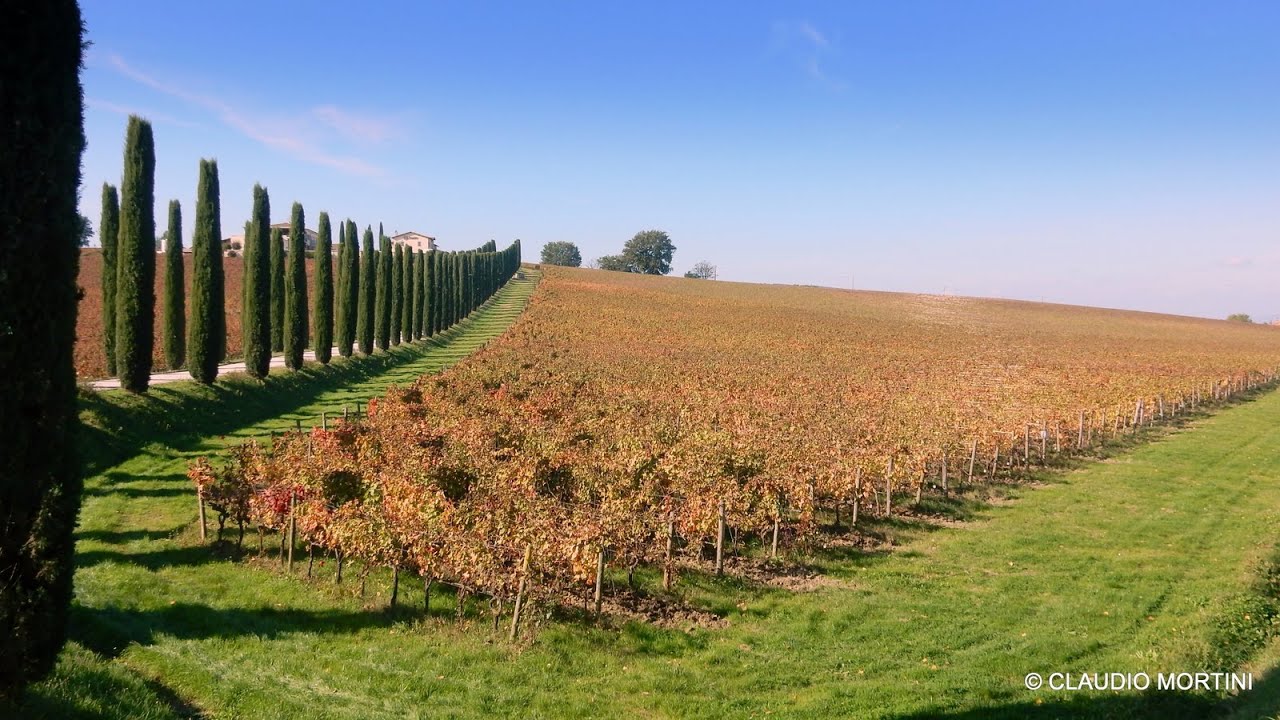 UMBRIA - LE STRADE DEL VINO - FOLIAGE - 4k