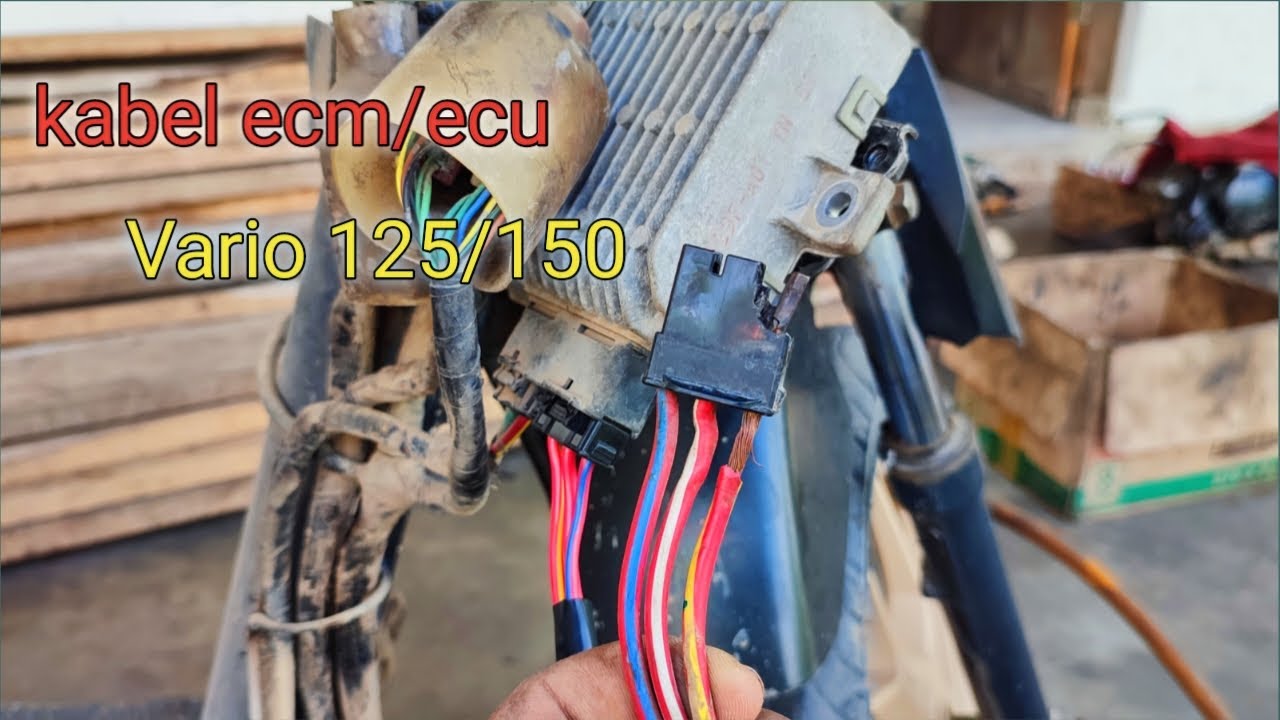 Soket ecu gosong,penyebab stater vario mati