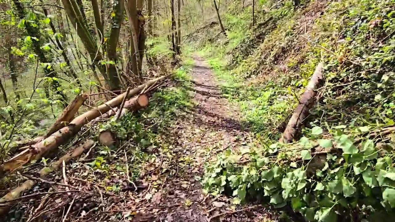 walk with me /Obernhof  /Germany