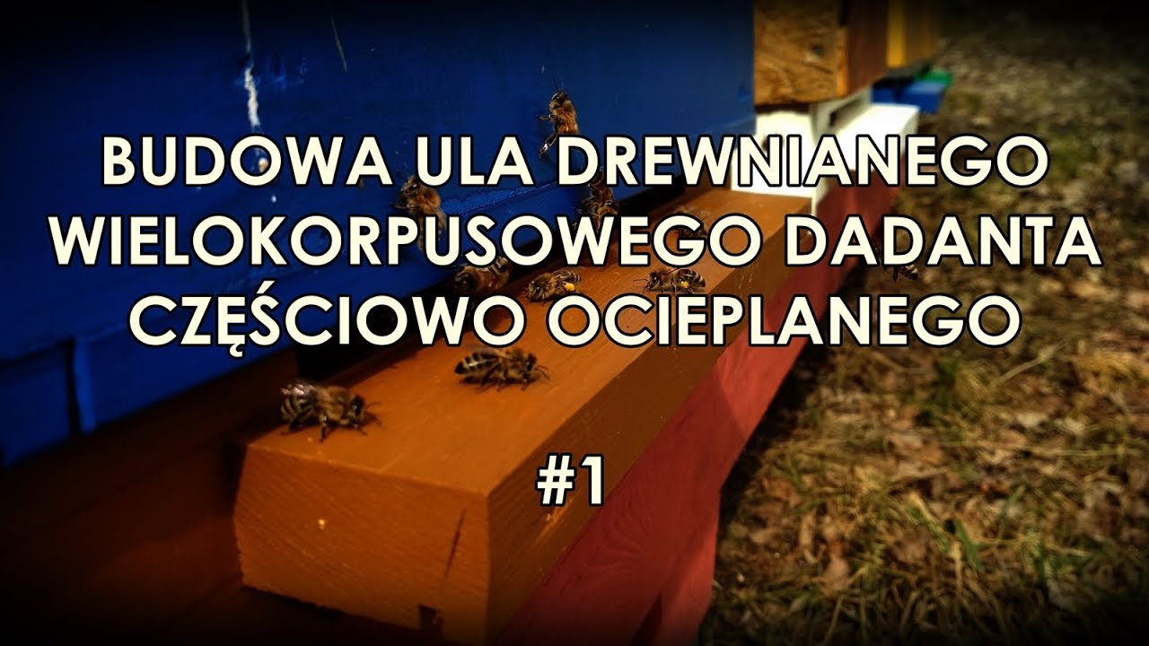 #13 Budowa ula Dadanta - cz.1