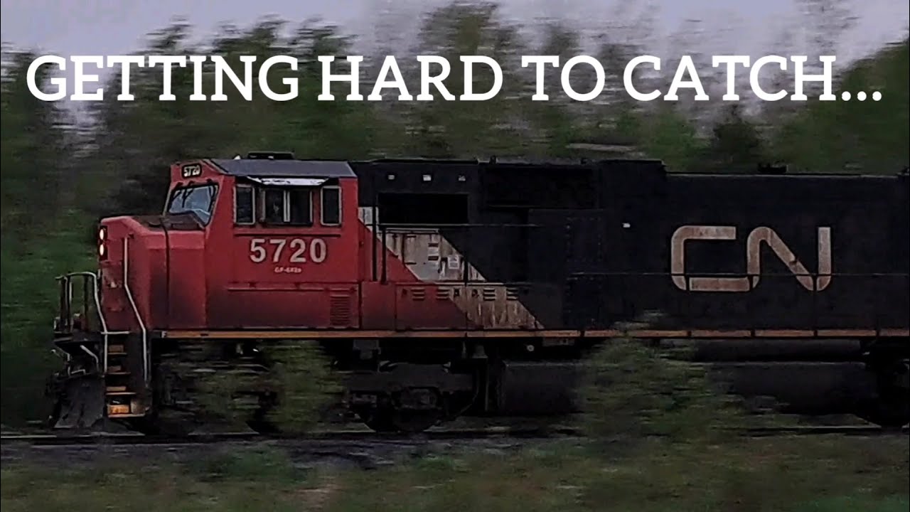 End Of May 2025 CN Bala Subdivision Railfanning! 2542 Leads, SD75I Duo Panning, C44-9W Leaders