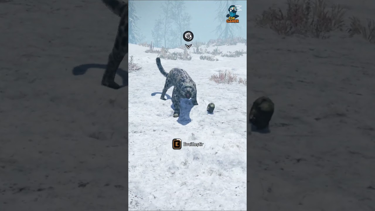 Leopar Evcilleştirdik Far Cry Primal Deluxe  #farcryprimal #gaming #deluxeedition #gameplayt&uuml;rk&ccedil;e