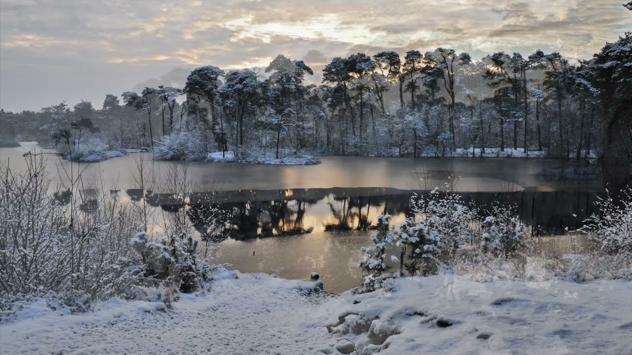Winter in de Oisterwijkse Bossen en Vennen