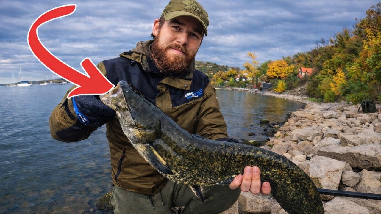 Privlač na Sumce 🎣 udica 0.5-6g neuveriteľné! 💥 vlasec 0.16mm a nástraha ťa prekvapí! 🤯