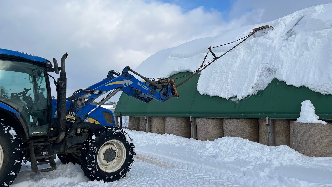 Roof Top Snow Removal | Wednesday