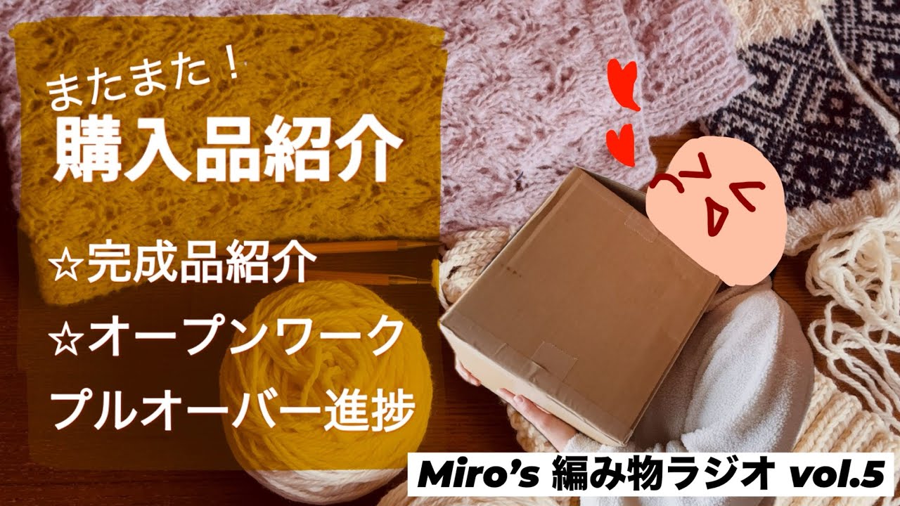 毛糸購入品紹介/完成品紹介/オープンワークプルオーバーの進捗