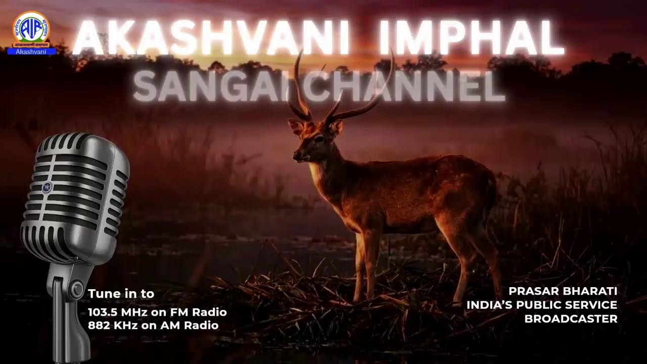 AIR IMPHAL SANGAI Live Stream
