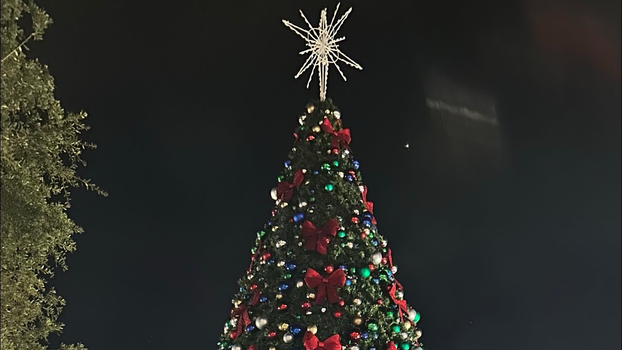 Downtown Ocala Christmas lights 🎄🎄