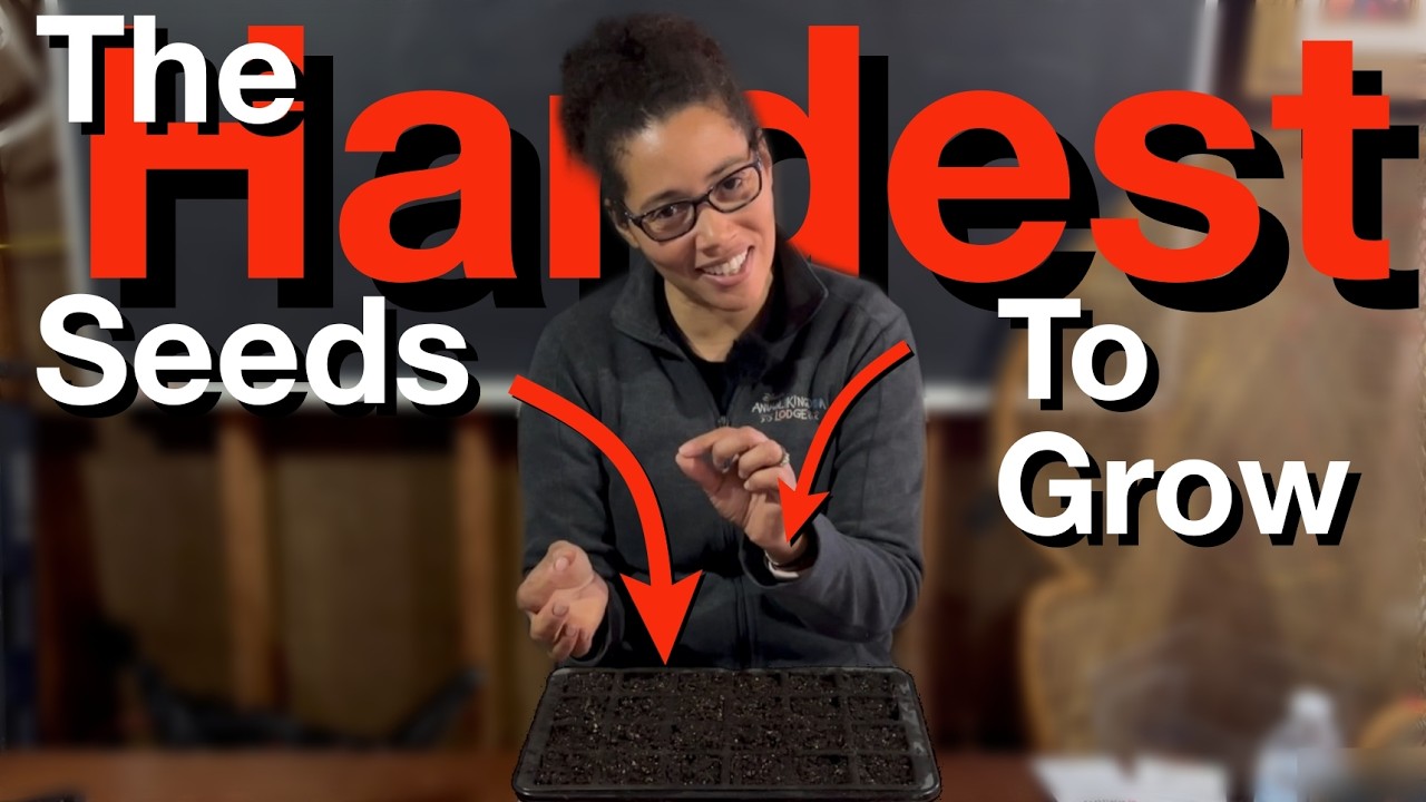 The hardest seeds to grow.