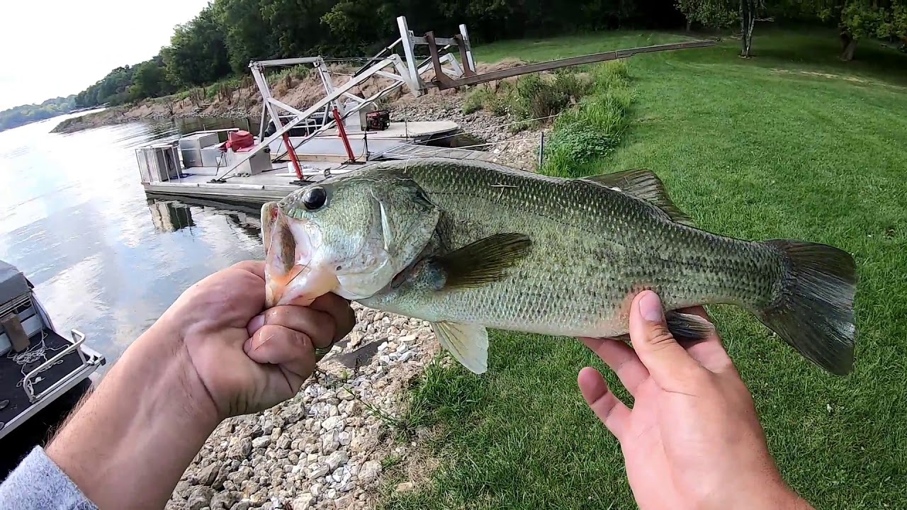 NetBait Paca Craw Getting MUNCHED!