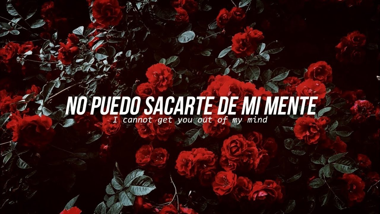 Lovebug • Jonas Brothers | Letra en español / inglés