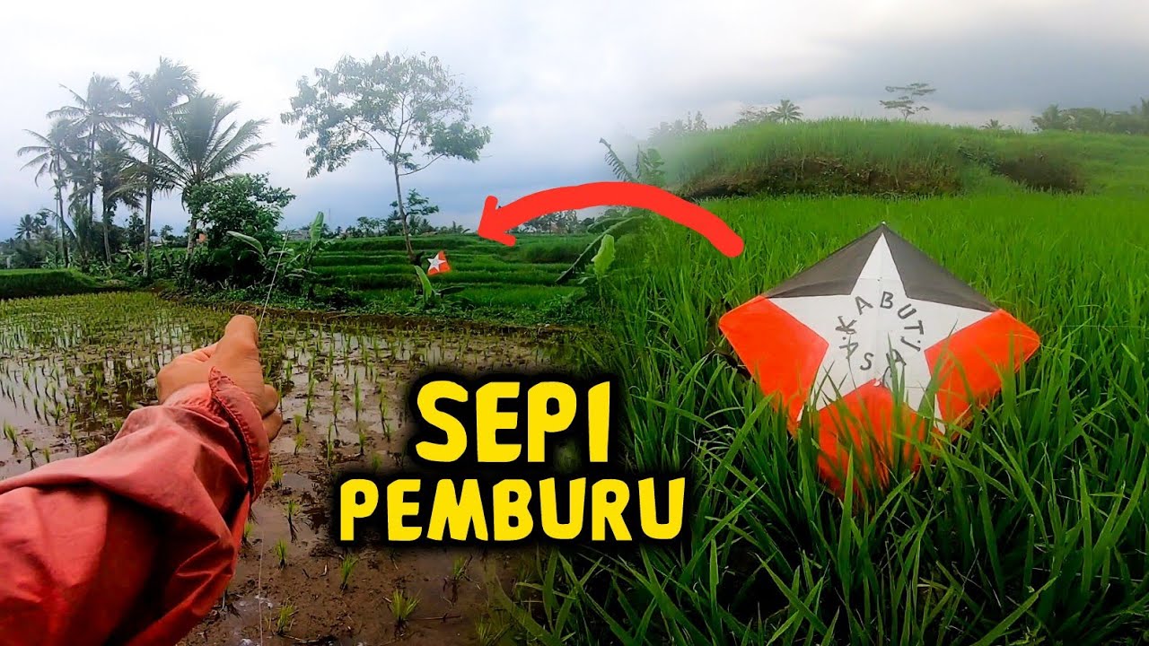 NGEJAR LAYANGAN PUTUS DI SEKITARAN RUMAH TERNYATA GA ADA YANG BERBURU!!! MORO LAYANGAN (EPS #147)