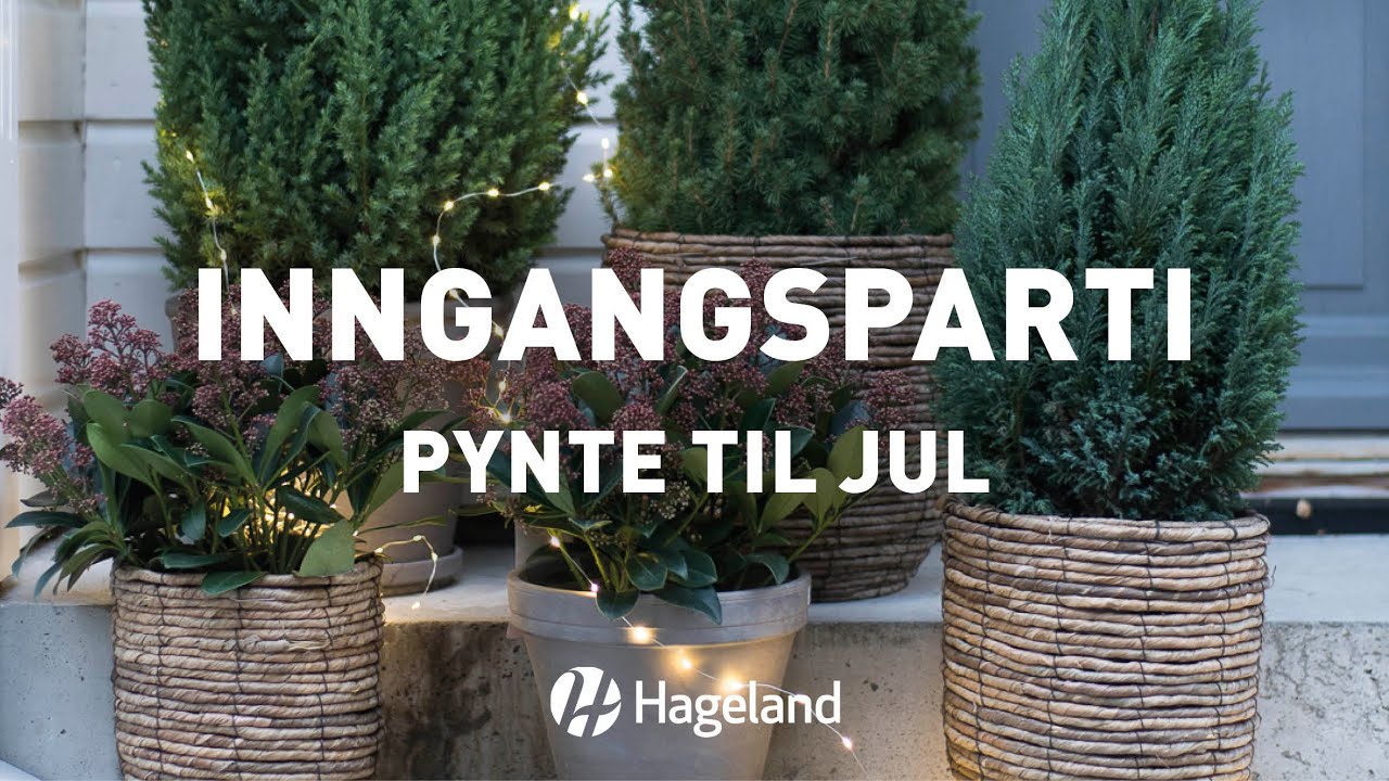 Inngangsparti - pynte til jul