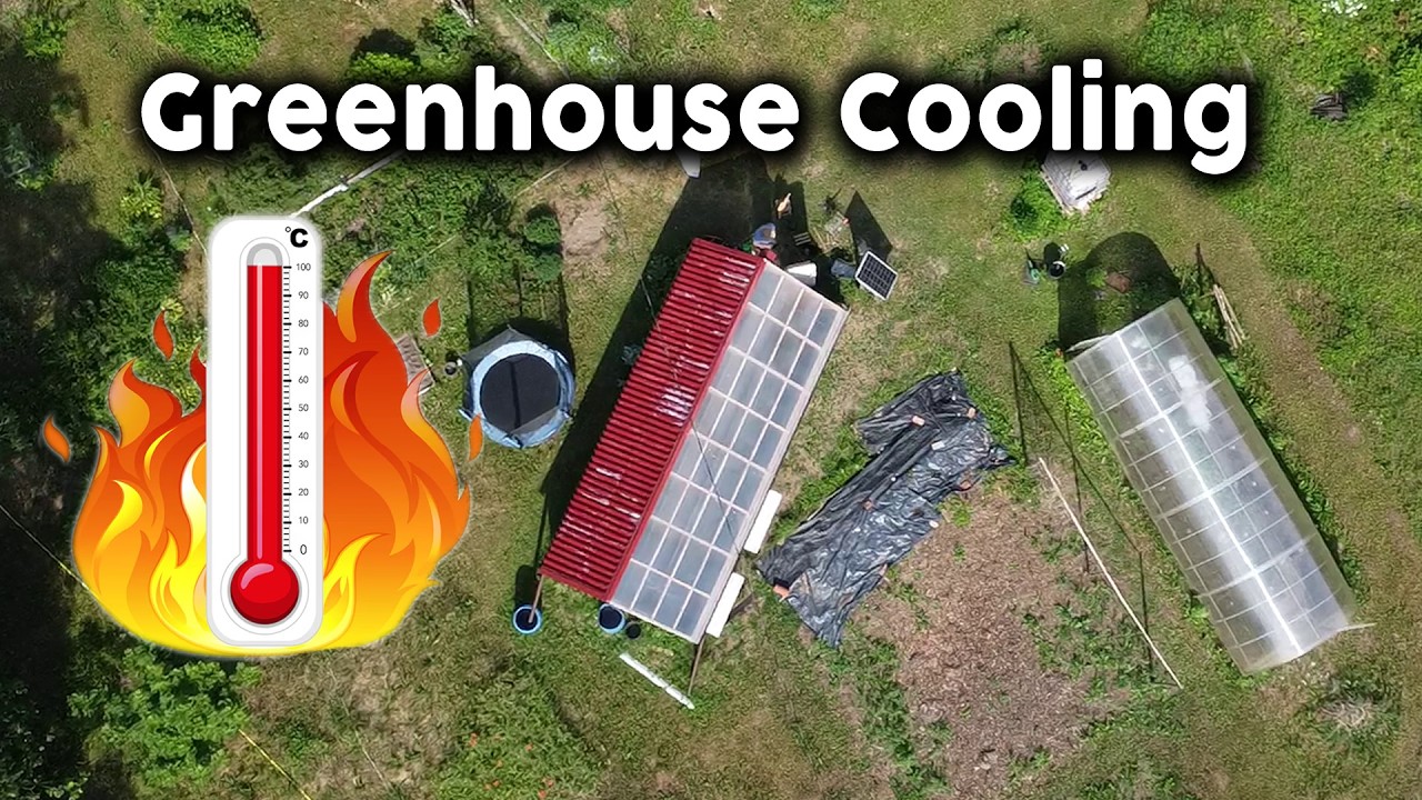 Beat the Heat: Greenhouse Cooling Tips