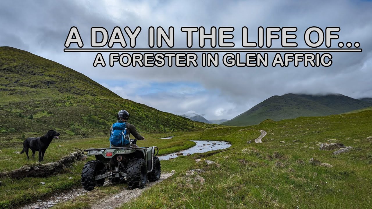 A Day In The Life Of.... A Forester | Glen Affric #scottishhighlands