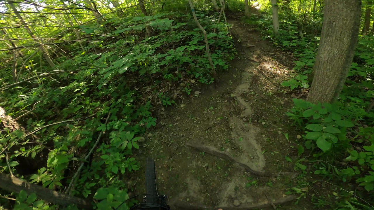 Cedar Love Shack | Puslinch Tract / Twin Ponds | MTB