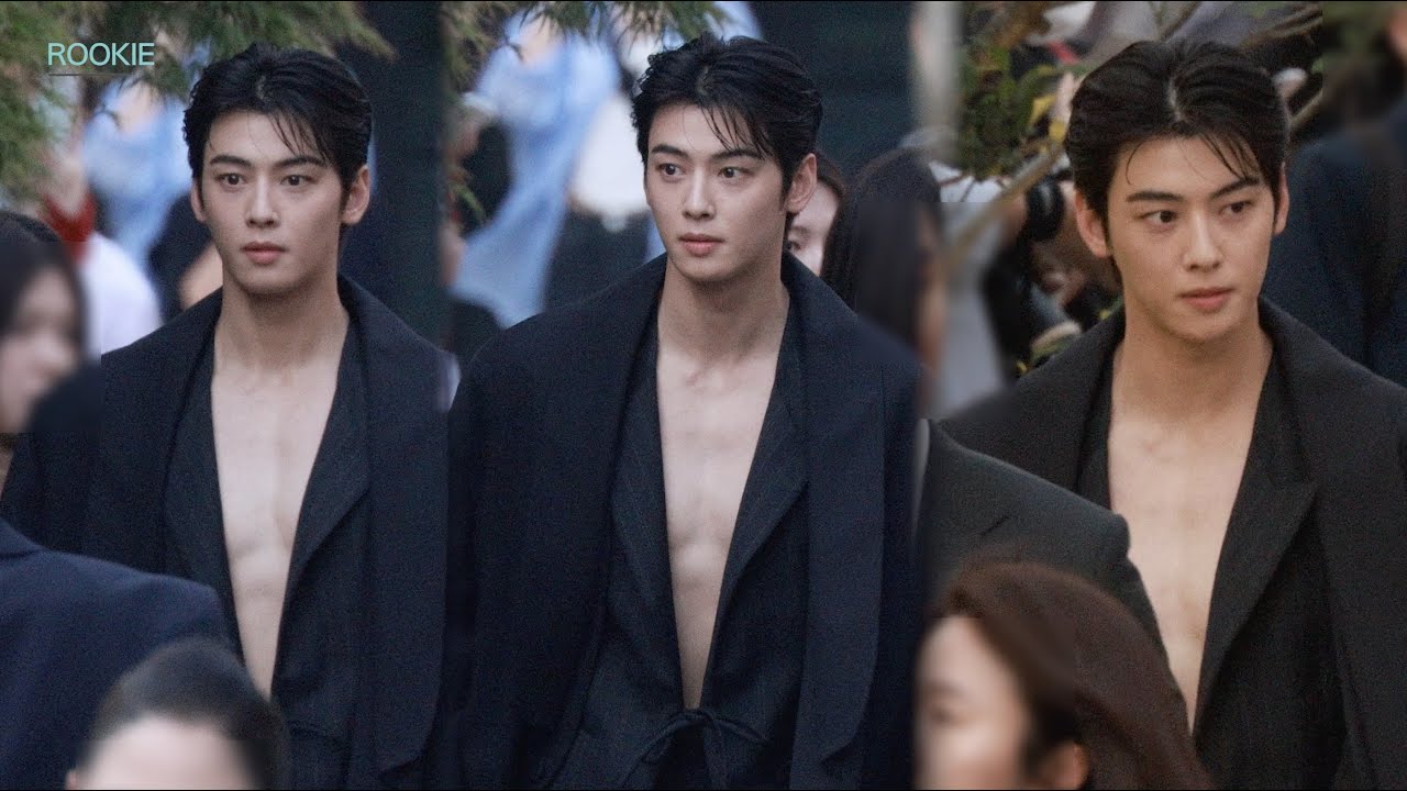 240529 차은우(Cha Eun Woo) 디올(DIOR) 행사 출·퇴근길 직캠