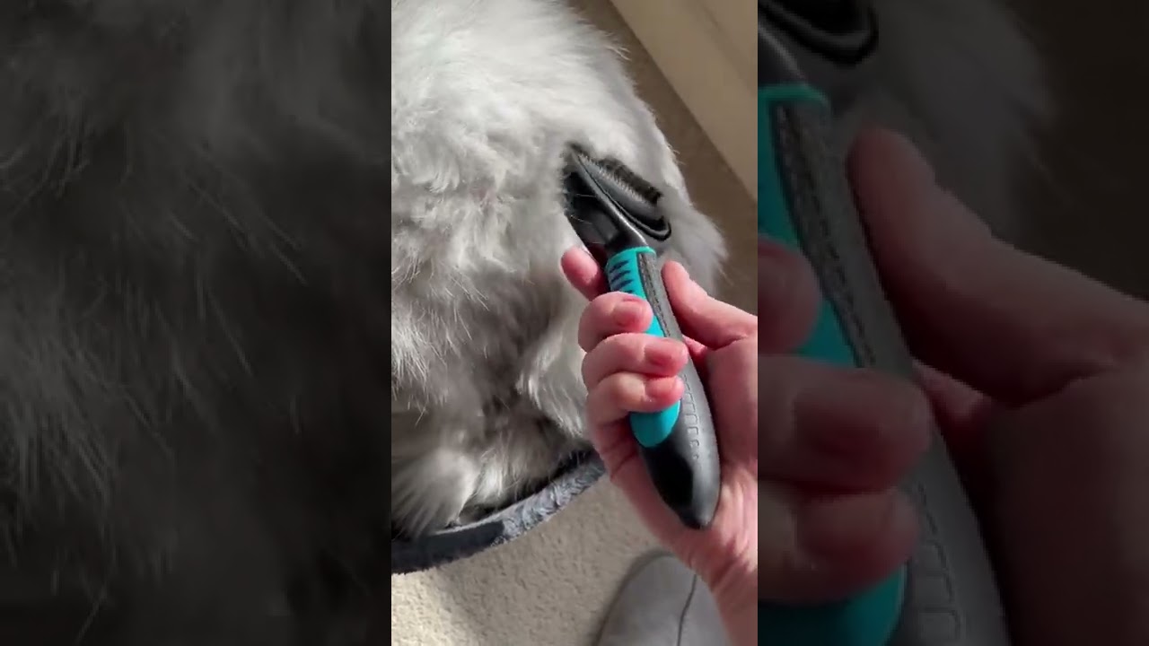 Cat-grooming: De-matting Brush