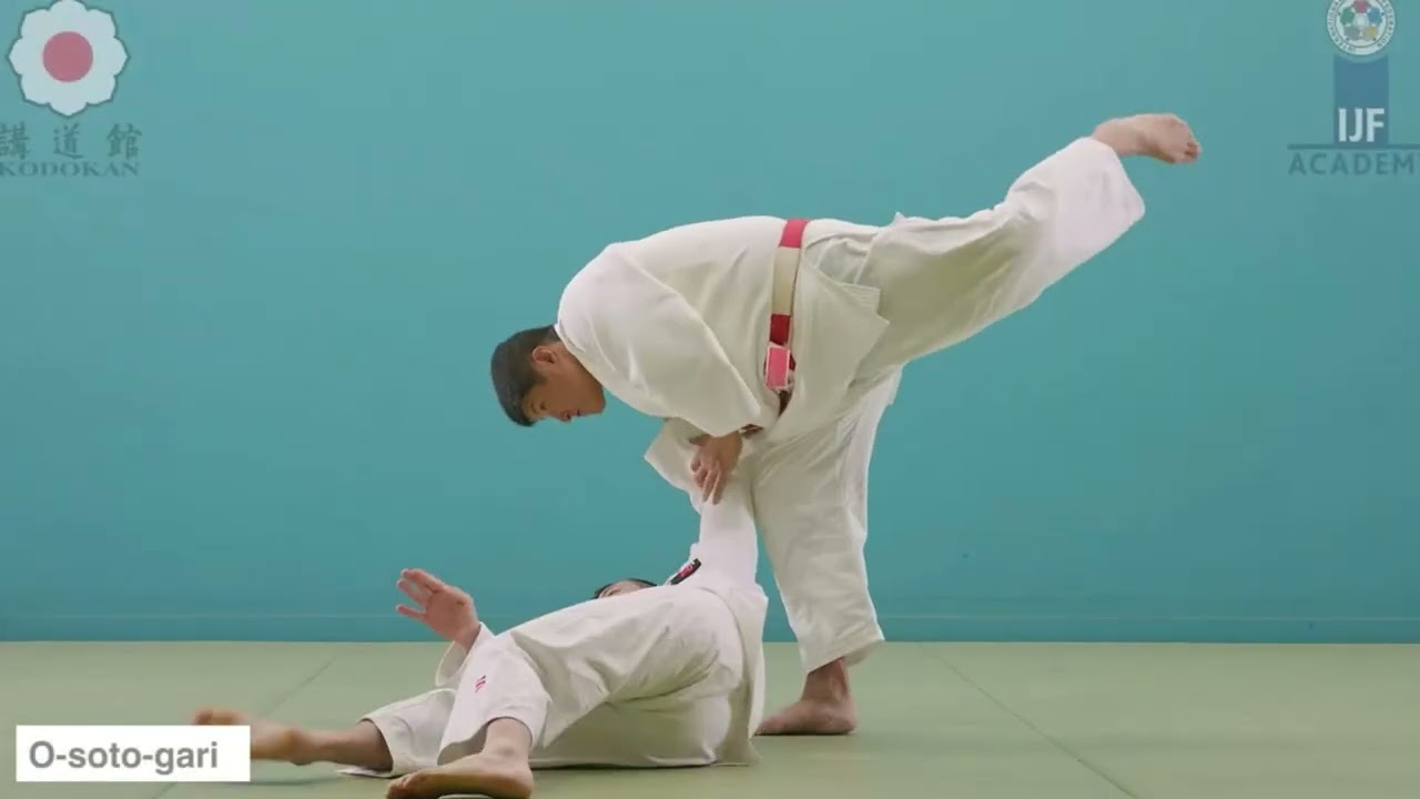 Les prises de judo (607)