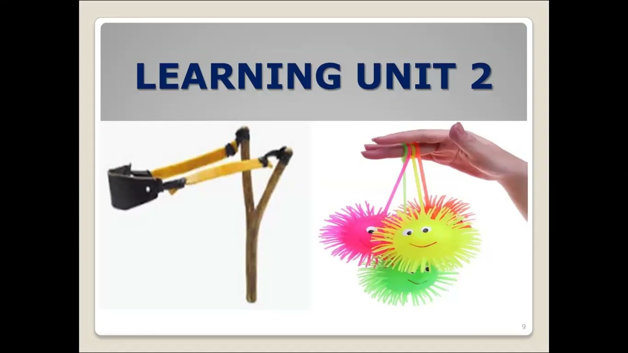 ECS2601 Learning Unit 2 Unisa