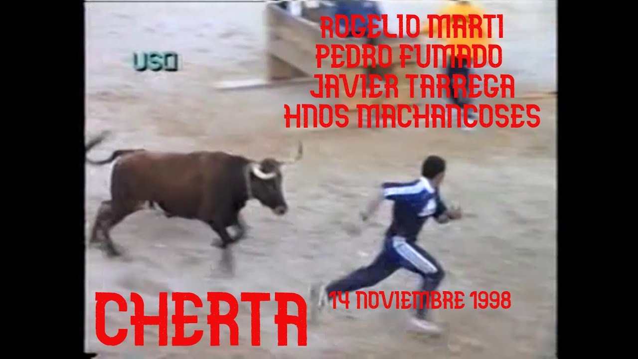 1998 11 14 CHERTA CONCURSO VAQUILLAS ROGELIO MARTI PEDRO FUMADO JAVIER TARREGA HNOS MACHANCOSES