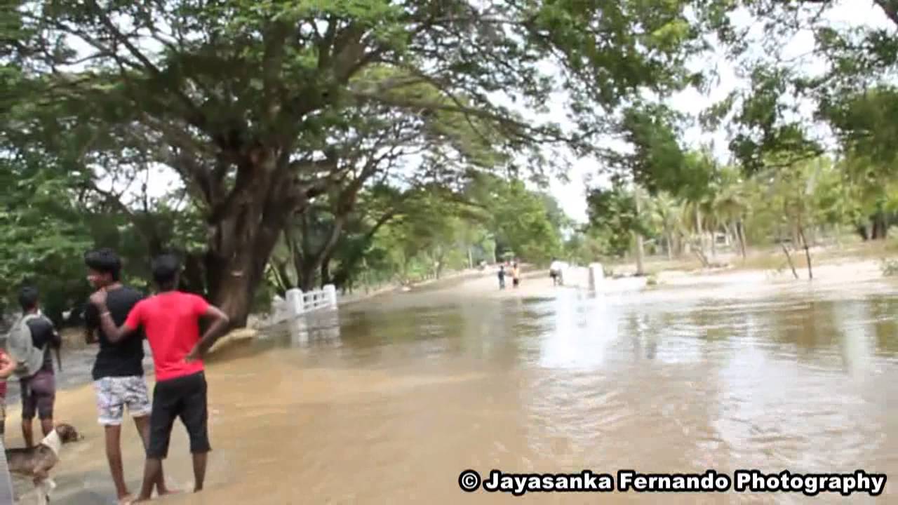 Flood In Chilaw