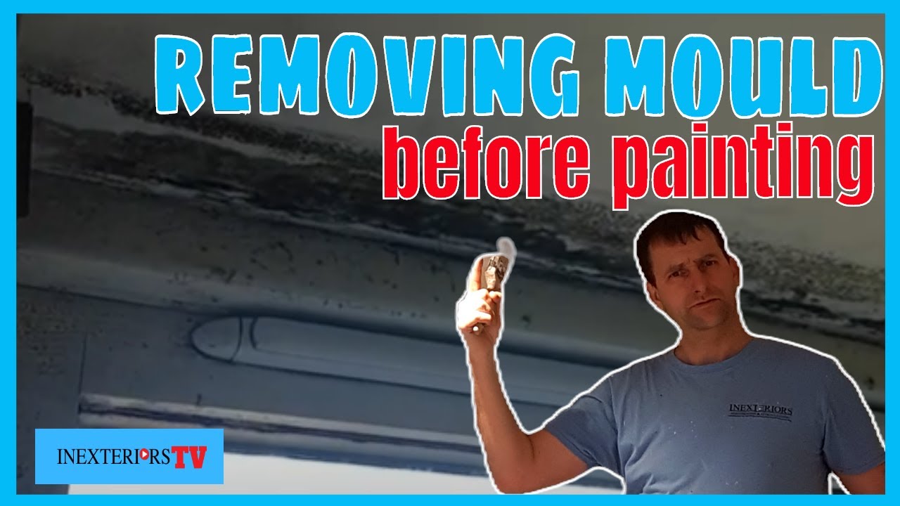 How to remove mould from a wall or ceiling before painting.