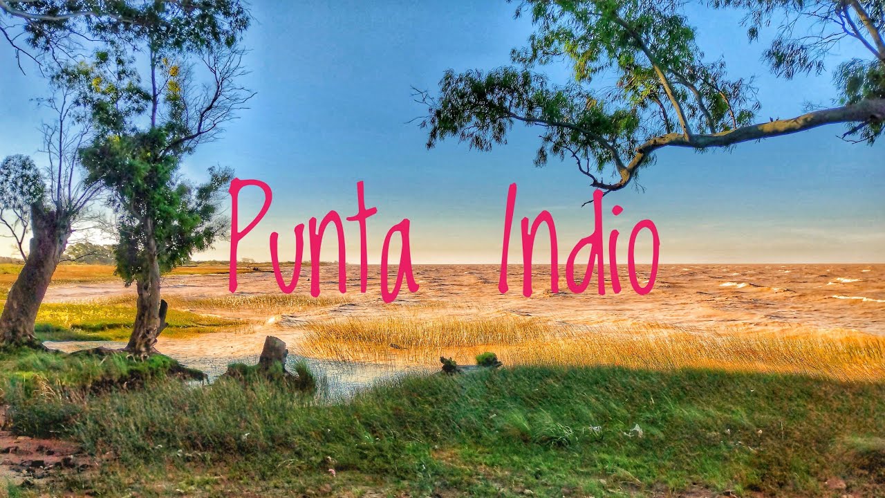 Punta Indio, una biosfera protegida, entre mitos y verdades.